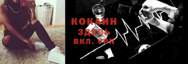 тгк Арсеньев