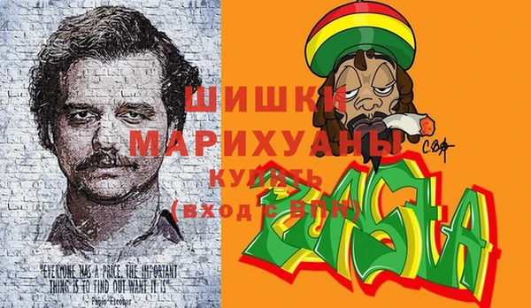 крисы Алзамай