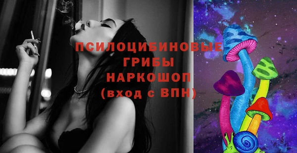тгк Арсеньев