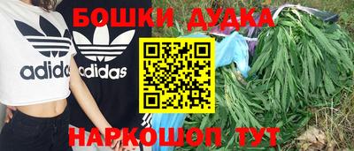 прущие крисы Донской